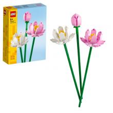 LEGO Botânica - 40647 - Flor-de-lótus