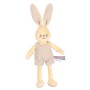 Coelho fofinho - 12545 - CHICCO