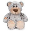 Urso peluche de 35cm falante - 760020370 - Famosa 