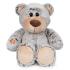 Urso peluche de 35cm falante - 760020370 - Famosa