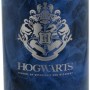 Garrafa de aço inoxidável Harry Potter de 515 ml - STOR