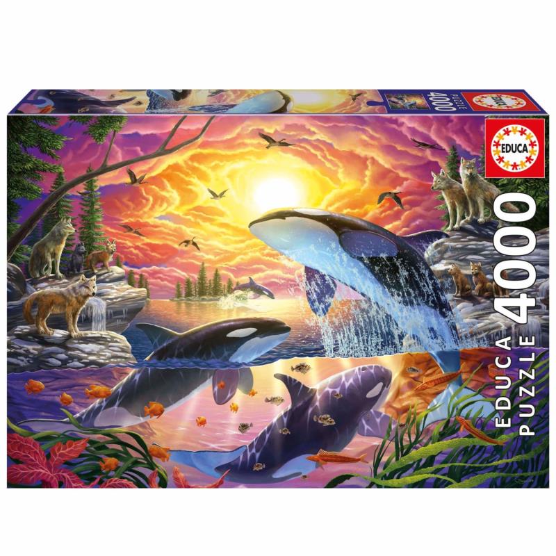 Puzzle Educa, Orcas e Lobos de 4000 Peças - 20259