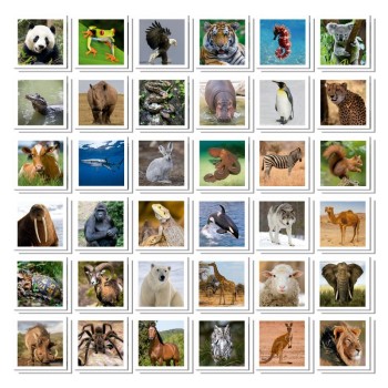 Identic jogo de memória 72 cartas - 20317 - animais - Educa