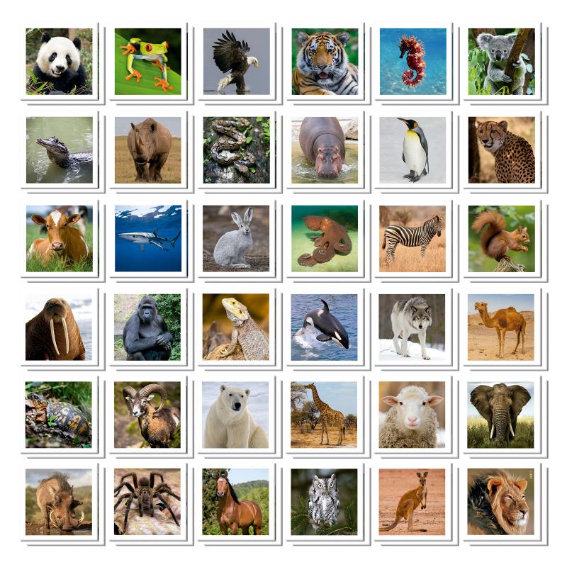 Identic jogo de memória 72 cartas - 20317 - animais - Educa