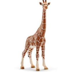 Schleich - Girafa Fêmea - 14750 