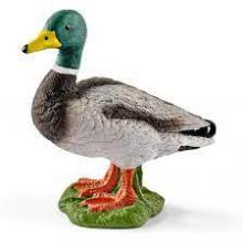 Schleich - Pato - 13824