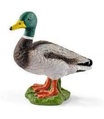 Schleich - Pato - 13824