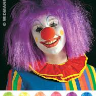 Cabeleira Palhaço Lisa