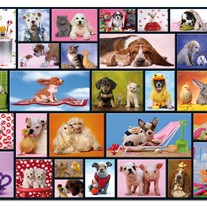 Puzzle "Momentos Partilhados" - 15518