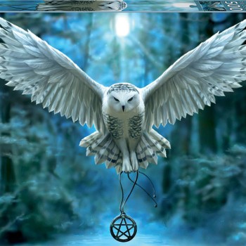 Puzzle - 17959 -Desperta a Magia em Ti 