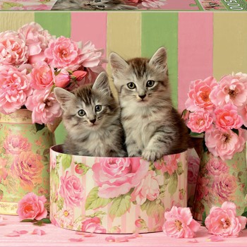 Puzzle - 17960 - Gatinhos com Rosas 