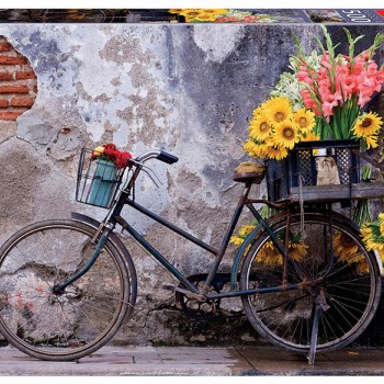 Puzzle - 17988 - Bicicleta com Flores