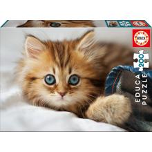 Puzzle 200 peças Gatinho - 17154 - Educa