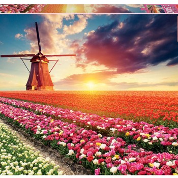 Puzzle - 18465 - Paisagem de tulipas