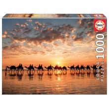 Puzzle - 18492 - 1000 Golden sunset on Cable Beach, Australia EDUCA