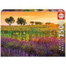 Puzzle  - 17669 - Campo de Girassóis e Lavanda