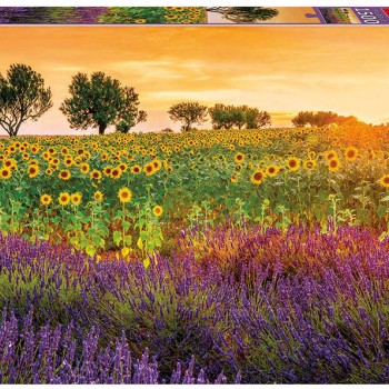 Puzzle  - 17669 - Campo de Girassóis e Lavanda