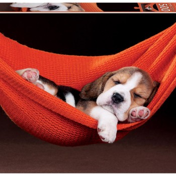 Puzzle - 18477 - Sleeping in a hammock EDUCA